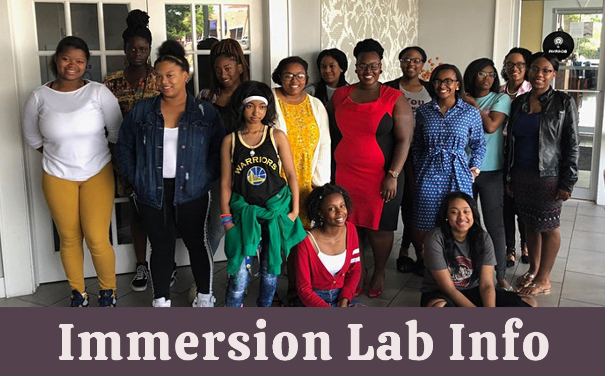 Immersion Lab info session